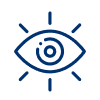 vision-icon